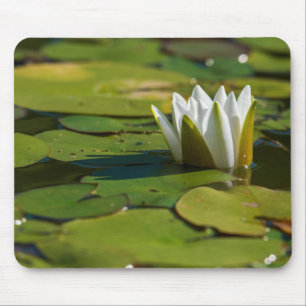 Water Lily Blossom Muismat