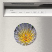 Water Lily Blue et Gold Magnet (In Situ (Lave-vaisselle))