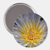 Water Lily Blue et Gold Magnet (Recto/Verso)