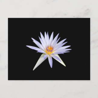 Water Lily Briefkaart