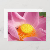 Water Lily Briefkaart (Voorkant / Achterkant)