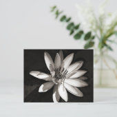 Water Lily Briefkaart (Staand voorkant)
