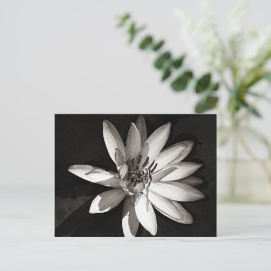 Water Lily Briefkaart (Staand voorkant)