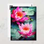 Water Lily:Briefkaart Briefkaart (Voorkant / Achterkant)