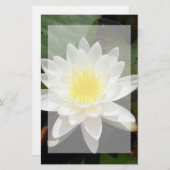 Water Lily Briefpapier (Voorkant / Achterkant)