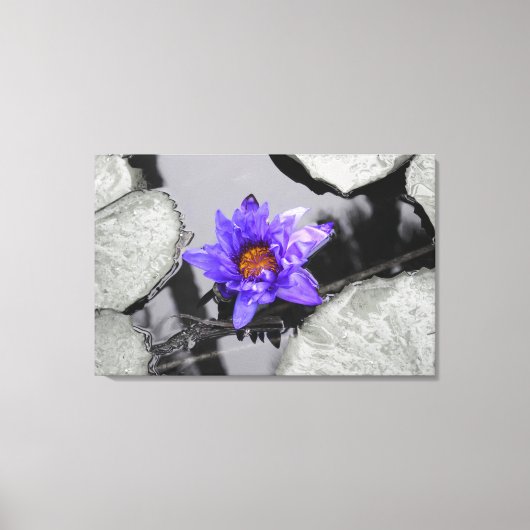 Water Lily Canvas Afdruk (Voorkant)