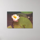 Water Lily Canvas Afdruk (Voorkant)