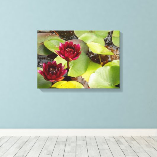 Water Lily Canvas Print (Insitu (Houten vloer))