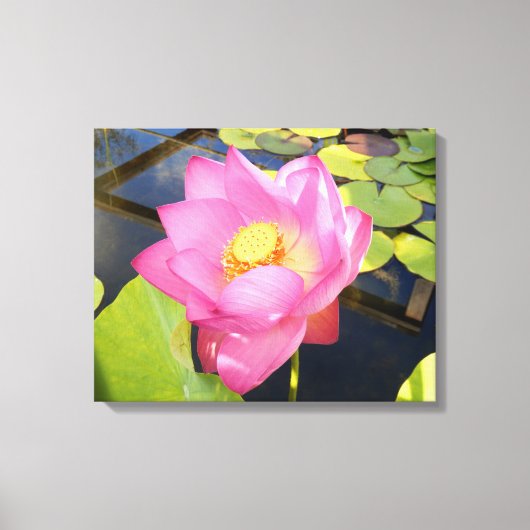 Water Lily Canvas Print (Voorkant)