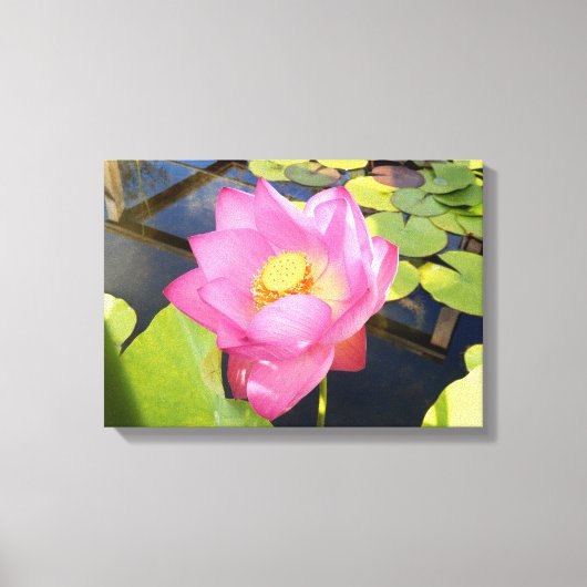 Water Lily Canvas Print (Voorkant)