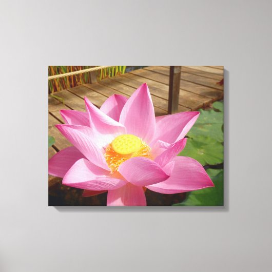 Water Lily Canvas Print (Voorkant)