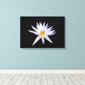 Water Lily Canvas Print (Insitu (Houten vloer))