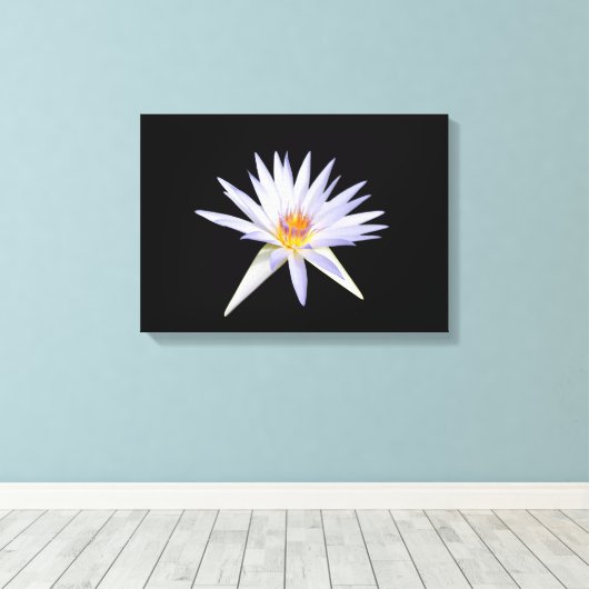 Water Lily Canvas Print (Insitu (Houten vloer))