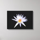 Water Lily Canvas Print (Voorkant)