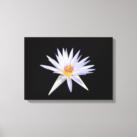 Water Lily Canvas Print (Voorkant)