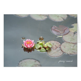 Water Lily Card