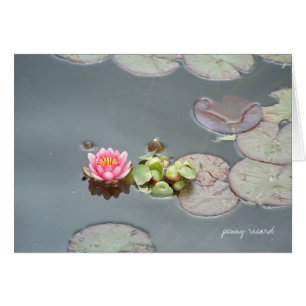 Water Lily Card
