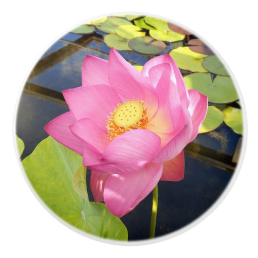 Water Lily Ceramic Knob. Keramische Knop (Voorkant)
