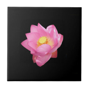 Water Lily Ceramic Tile Tegeltje