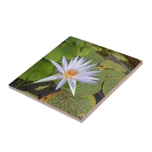 Water Lily Ceramic Tile Tegeltje (Zijkant)