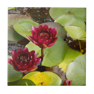 Water Lily Ceramic Tile Tegeltje