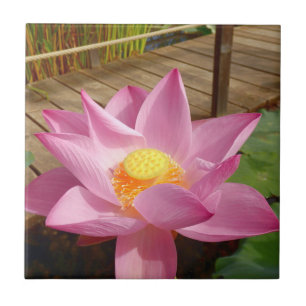 Water Lily Ceramic Tile Tegeltje