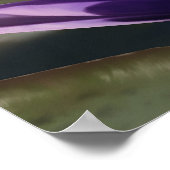 Water Lily door J. Matthew Root Poster (Hoek)