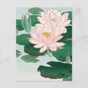 Water Lily door Ohara Koson, Floral Japanse kunst Briefkaart