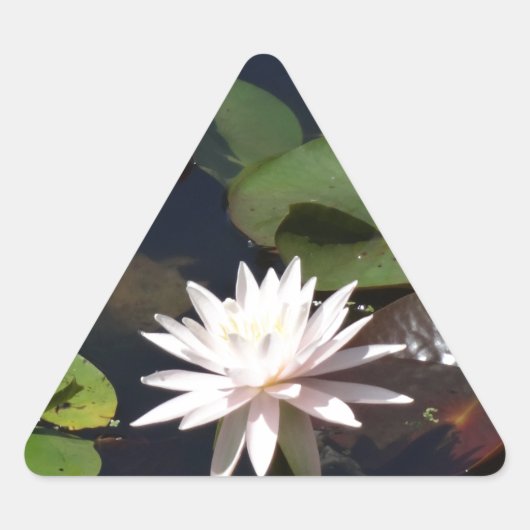 Water Lily Driehoek Sticker (Voorkant)