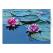 Water Lily Duet (Voorkant Horizontaal)