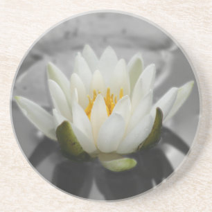 Water Lily Floral Onderzetter