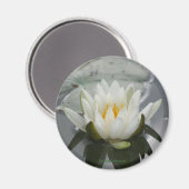 Water Lily Flower Fotografie Magneet (Voorkant / Achterkant)