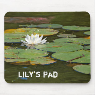 Water Lily in Pond Muismat