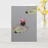 Water Lily Kaart (Gele Bloem)