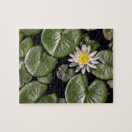 Water Lily Legpuzzel (Horizontaal)