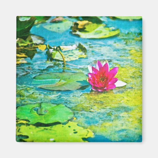 Water Lily Lilypad Magneet (Voorkant)