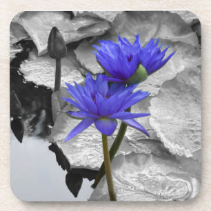 Water Lily Love Dur Plaster Dessous de verre