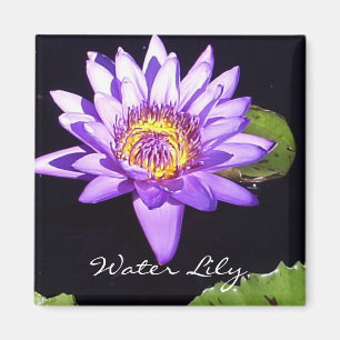 Water Lily Magnet Magneet