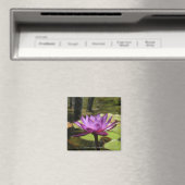 Water Lily Magnet Magneet (Insitu (Vaatwasser))
