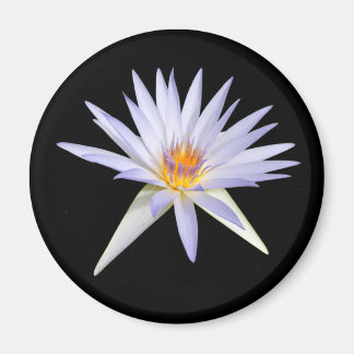 Water Lily Magnet Magneet