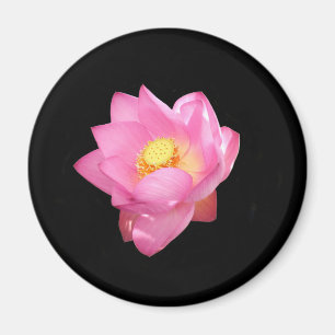 Water Lily Magnet Magneet