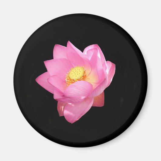 Water Lily Magnet Magneet (Voorkant)