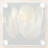 Water Lily met dauwdruppels Glazen Onderzetter (Achterkant)