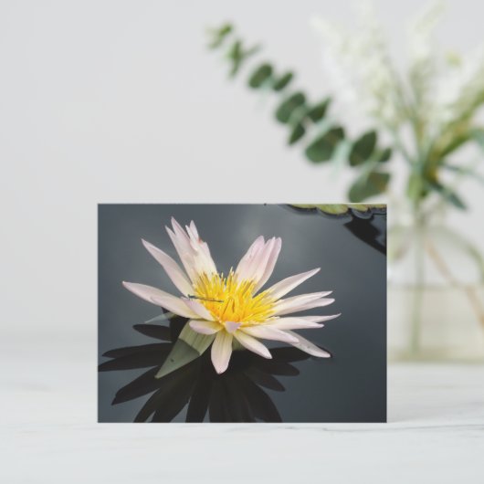 Water Lily met Dragonfly Briefkaart (Staand voorkant)