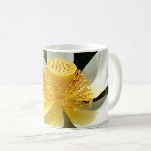 Water Lily Mok (Voorkant rechts)