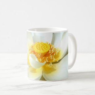 Water Lily Mok