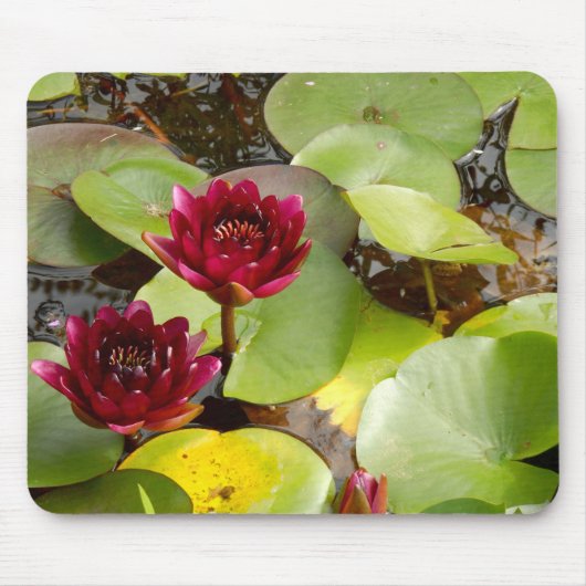 Water Lily Mouse Mat Muismat (Voorkant)