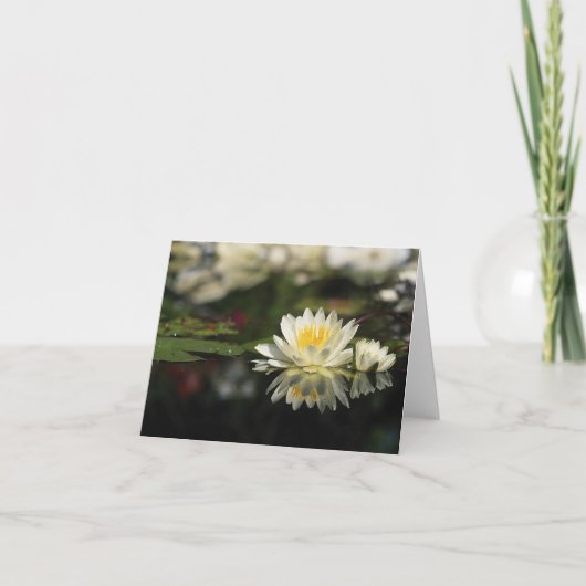 Water Lily Note Card Kaart (Voorkant)