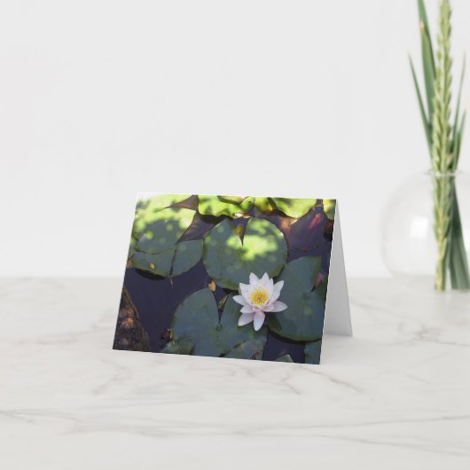 Water Lily Note Card Kaart (Voorkant)