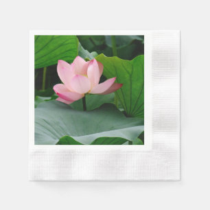 Water Lily Pink Servet